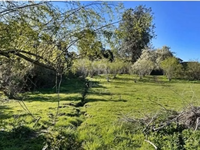 Campo de 31,92 hectáreas en Frutillar