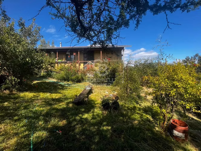 Parcela de 5000m2 con casa en Quillota