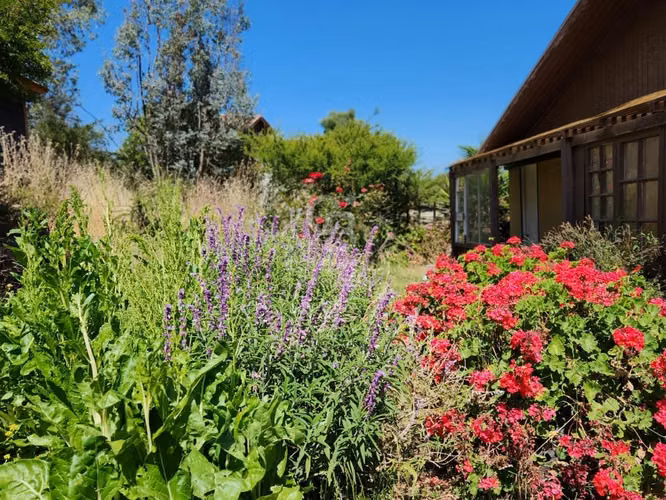 Parcela de 5000m2 con casa en Quillota