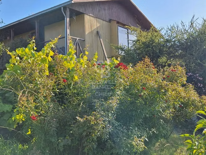 Parcela de 5000m2 con casa en Quillota