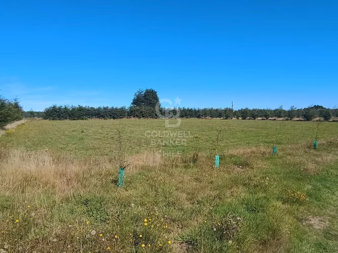 Últimas 2 parcelas!! entre Pto. Varas y Braunau