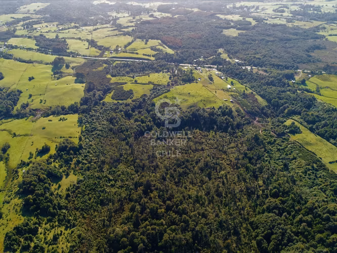 Gran terreno en venta Chiloé / Ancud