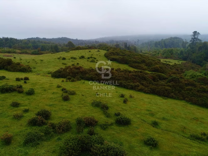 Gran terreno en venta Chiloé / Ancud