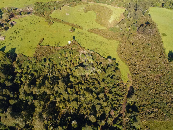 Gran terreno en venta Chiloé / Ancud