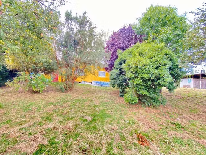 Casa en Las Lumas: Acceso a Rio y árboles frutales