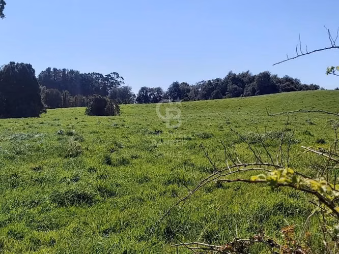 ¡Inversionistas!. Increíble Campo de 88hc frente al Lago.