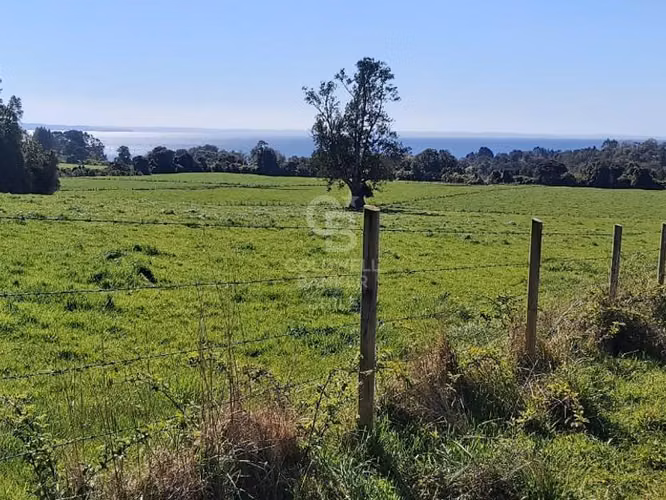 ¡Inversionistas!. Increíble Campo de 88hc frente al Lago.