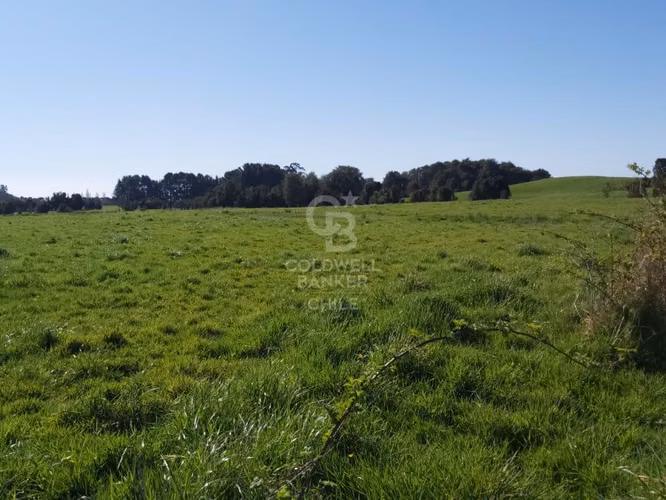 ¡Inversionistas!. Increíble Campo de 88hc frente al Lago.