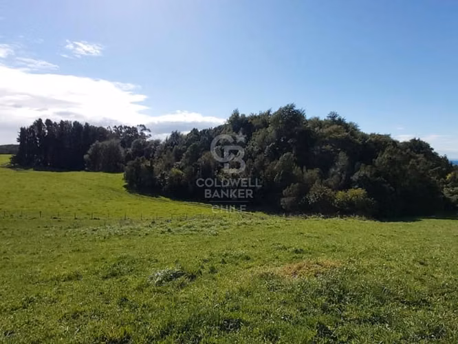 ¡Inversionistas!. Increíble Campo de 88hc frente al Lago.