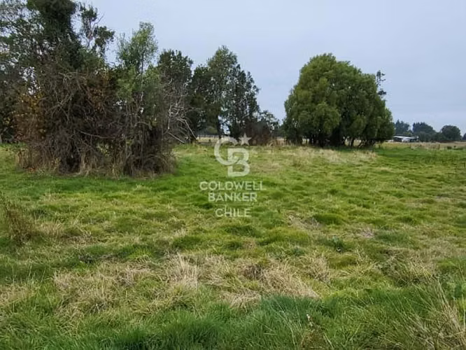 Parcela en Frutillar: Naturaleza y Conectividad