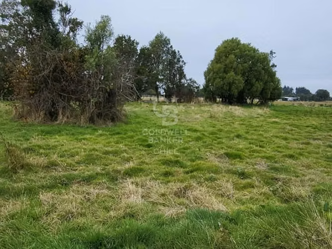 Parcela en Frutillar: Naturaleza y Conectividad