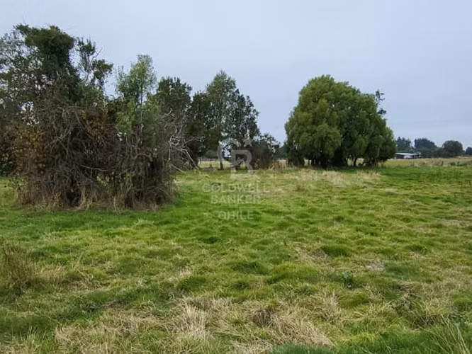 Parcela en Frutillar: Naturaleza y Conectividad