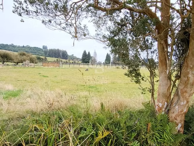 Parcela en Frutillar: Naturaleza y Conectividad