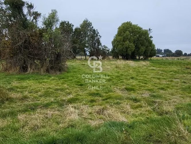 Parcela en Frutillar: Naturaleza y Conectividad