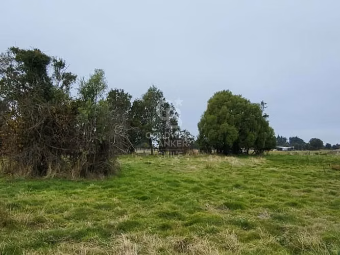 Parcela en Frutillar: Naturaleza y Conectividad