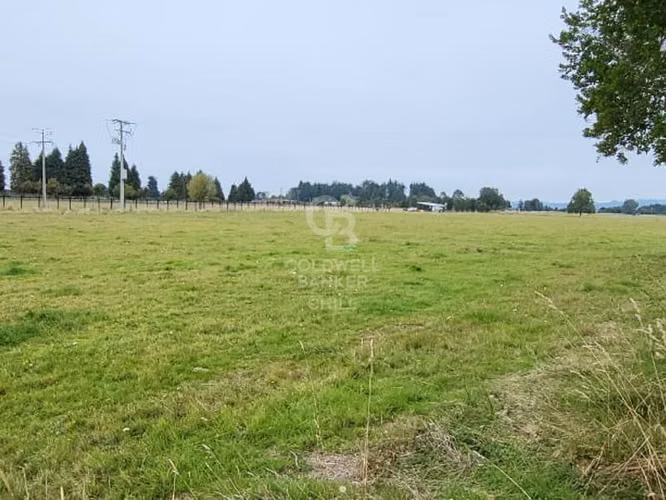 Parcela en Frutillar: Naturaleza y Conectividad