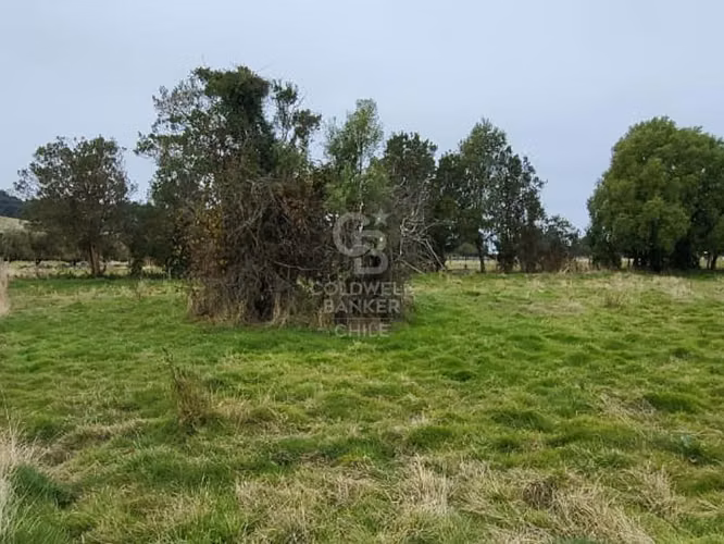 Parcela en Frutillar: Naturaleza y Conectividad