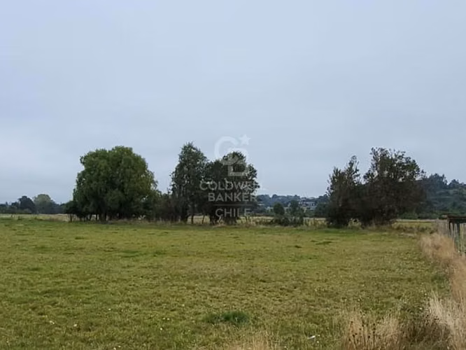 Parcela en Frutillar: Naturaleza y Conectividad