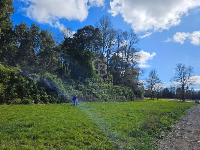 Parcela soñada en Frutillar: Agua, luz y entorno natural - Imagen 5