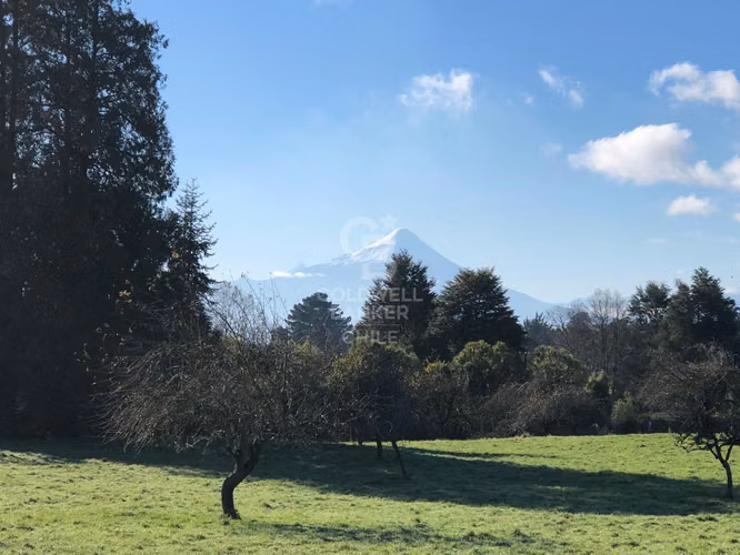 25.000 m2 con gran vista y 120 m de frente a Línea Nueva