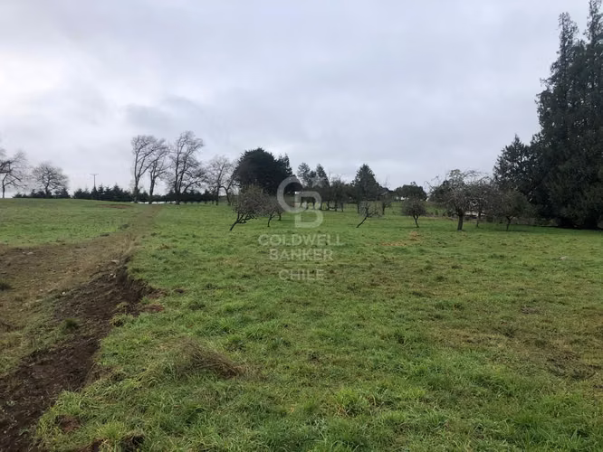 25.000 m2 con gran vista y 120 m de frente a Línea Nueva