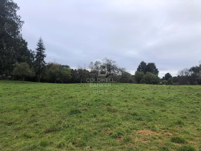 25.000 m2 con gran vista y 120 m de frente a Línea Nueva