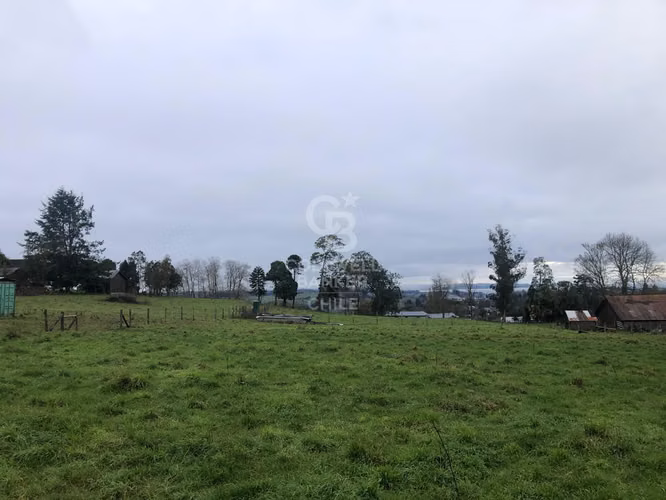 25.000 m2 con gran vista y 120 m de frente a Línea Nueva