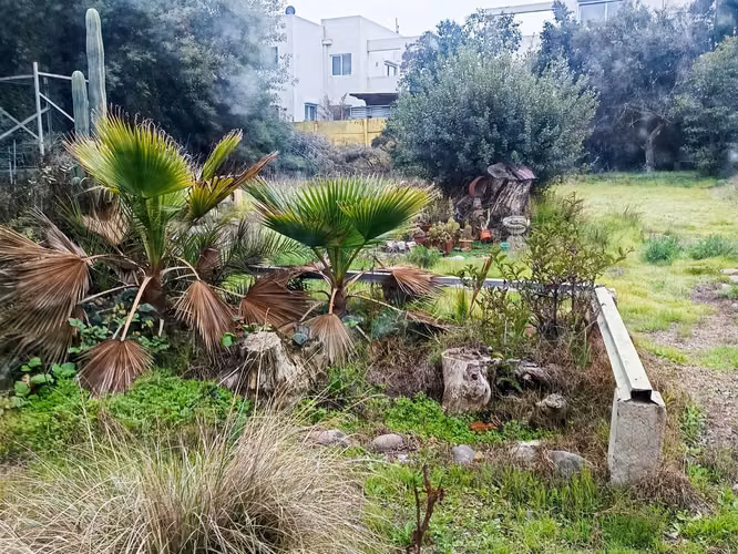 Terreno Constructoras o casa Familiar en La Reina Alta