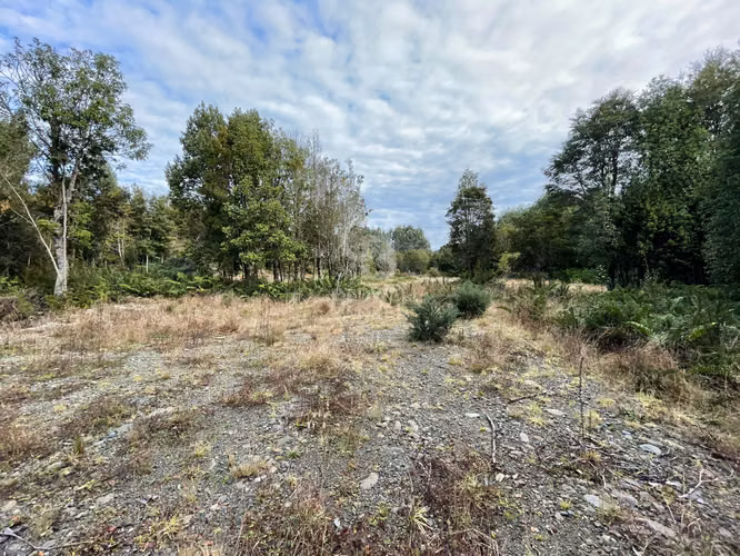 Parcela 5.750 m² con Bosque Nativo, Cerca de Puerto Varas