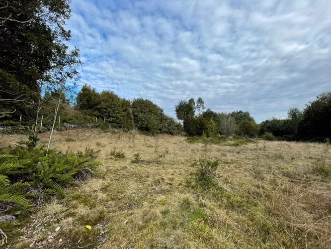 Parcela 5.750 m² con Bosque Nativo, Cerca de Puerto Varas