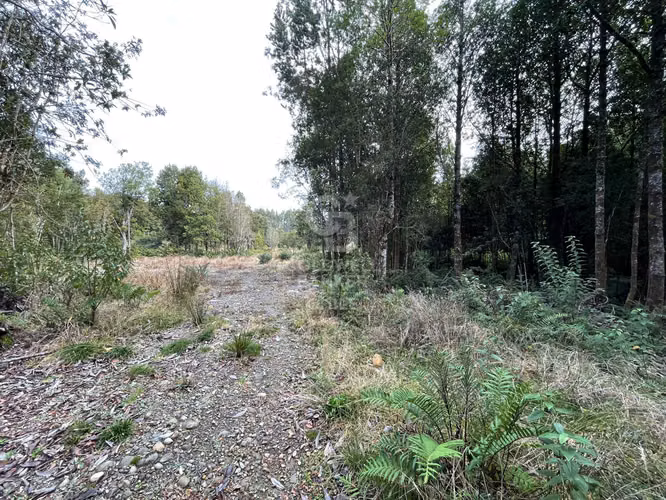 Parcela 5.750 m² con Bosque Nativo, Cerca de Puerto Varas