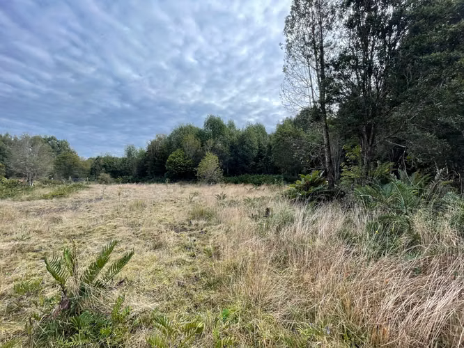 Parcela 5.750 m² con Bosque Nativo, Cerca de Puerto Varas