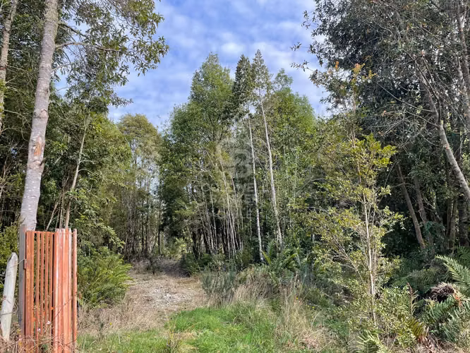 Parcela 5.750 m² con Bosque Nativo, Cerca de Puerto Varas