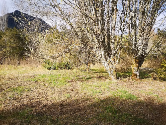 Parcela con río en Cochamó - Imagen 4