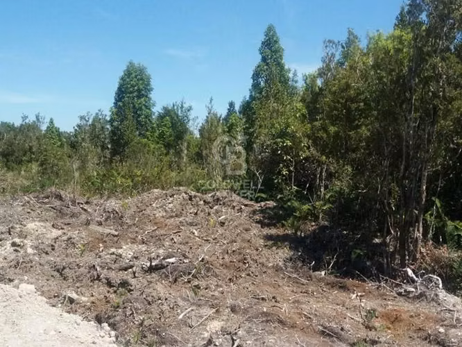 Parcela de 5000 m² camino Ensenada