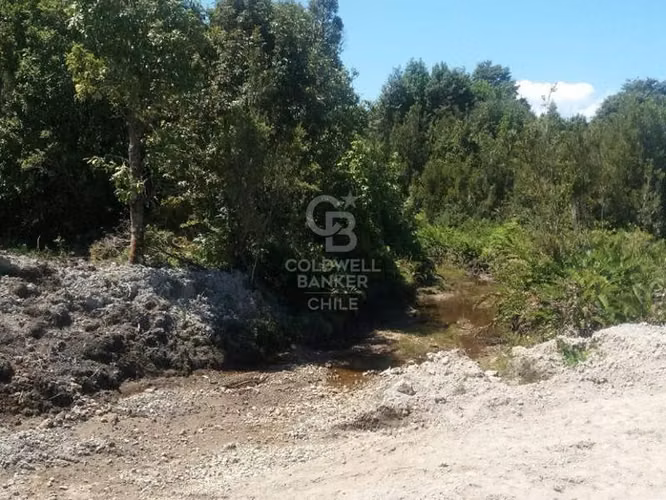 Parcela de 5000 m² camino Ensenada