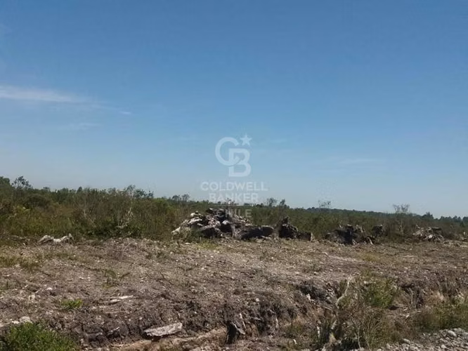 Parcela de 5000 m² camino Ensenada