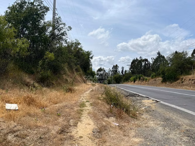 Espectacular Terreno en Ruta a Algarrobo