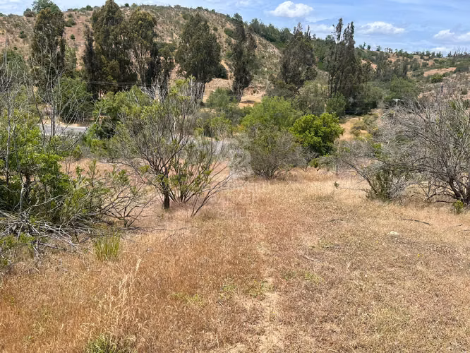 Espectacular Terreno en Ruta a Algarrobo