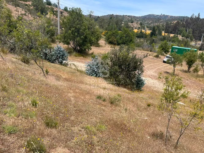 Espectacular Terreno en Ruta a Algarrobo