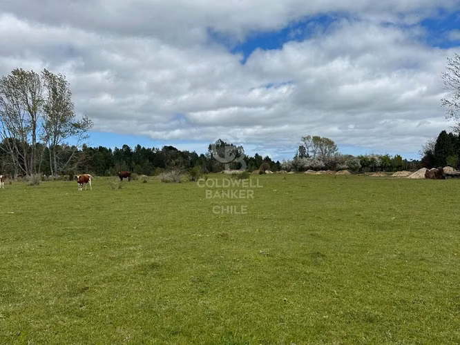 Oportunidad! Venta de Campo con Río en Maullin