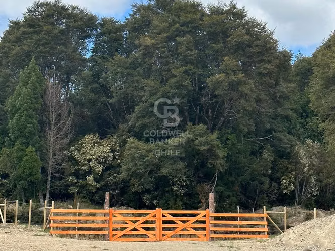 Oportunidad! Venta de Campo con Río en Maullin