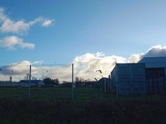 Terreno 5.000 m² con agua/luz y oficina container