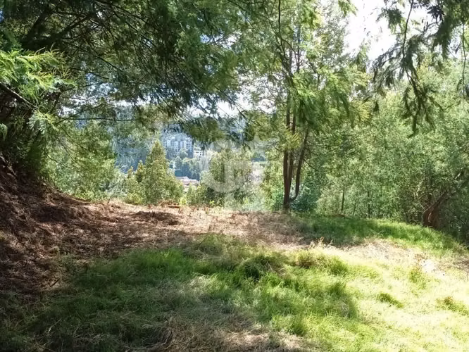 Excelente ubicación, naturaleza y plusvalía - Imagen 9