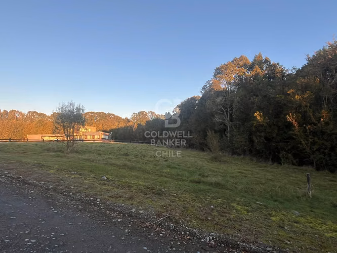 Parcela en exclusivo sector Las Cumbres.