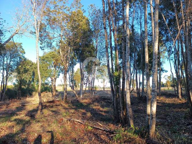 Parcela única: vistas al Calbuco y naturaleza intacta