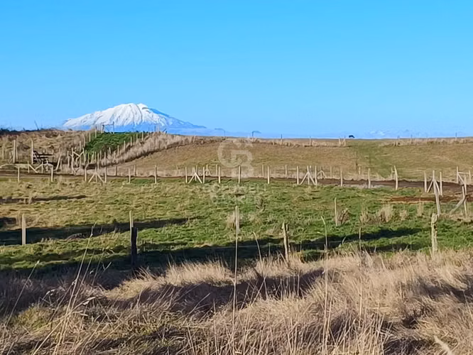 Parcela única: vistas al Calbuco y naturaleza intacta