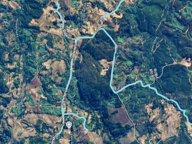 110 hectáreas, 1500 mts2 frente Ruta N 48 (Florida-Quillon)