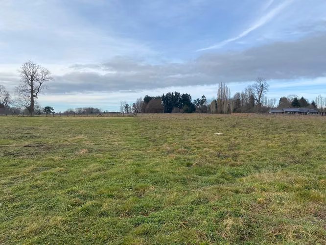Oportunidad Única: Parcela 5.000 m² en Osorno - Imagen 15