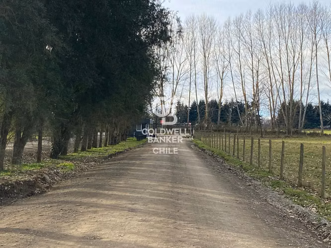 Oportunidad Única: Parcela 5.000 m² en Osorno - Imagen 4